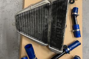 Febur per panigale