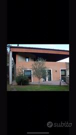Villa bologna sasso marconi