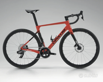 Cipollini Bond Evo Q30mp 2024 (Nuova)