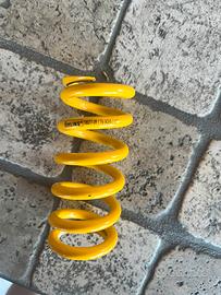 Molla ohlins mtb