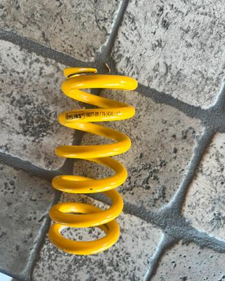 Molla ohlins mtb