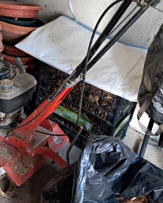 Motozappa TECUMSEH funzionante