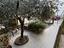 Immagine 1