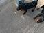 Immagine 3