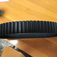 Cinghia Dentata  35.9x939