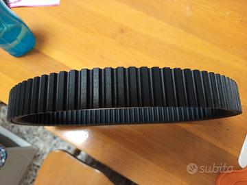 Cinghia Dentata  35.9x939