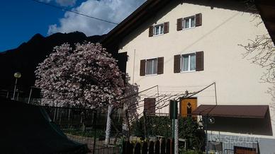 Stanza singola a studentesse o lavoratrici