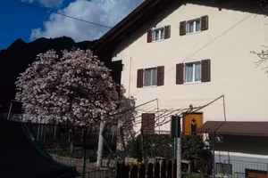 Stanza singola a studentesse o lavoratrici
