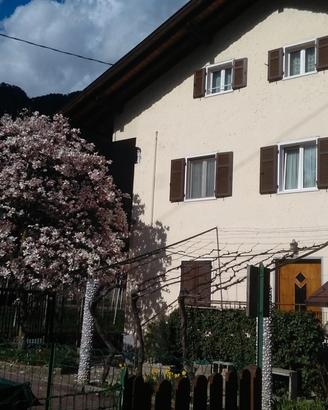 Stanza singola a studentesse o lavoratrici
