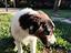 Immagine 6