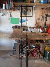 Canne carpfishing linea effe 