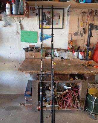 Canne carpfishing linea effe 