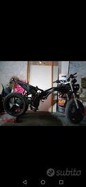 pezzi ricambi speed triple 955 2002/2004