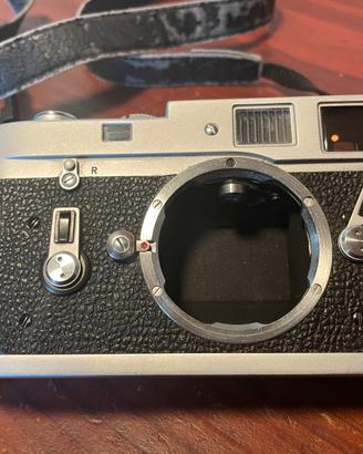 Leica m4 con obiettivi