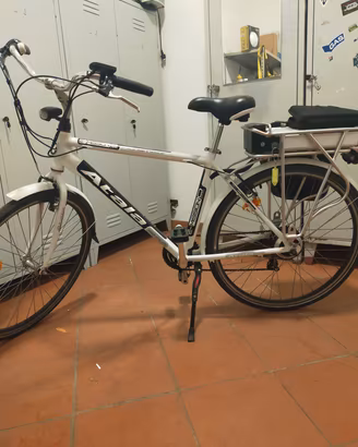 bici elettrica 