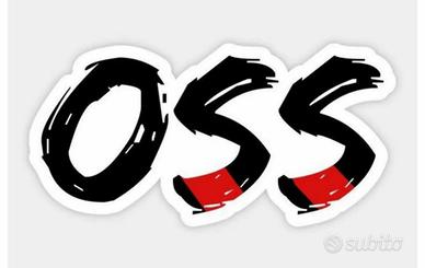 Operatore Socio Sanitario