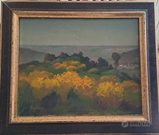 quadro di Ragazzini Alieto, " Ginestre in fiore"