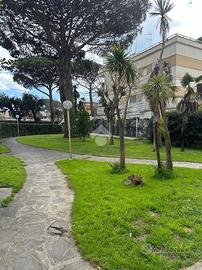 3 LOCALI A FIUMICINO