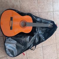 chitarra Eko con custodia 