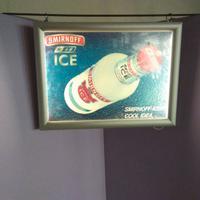 Insegna pubblicitaria luminosa