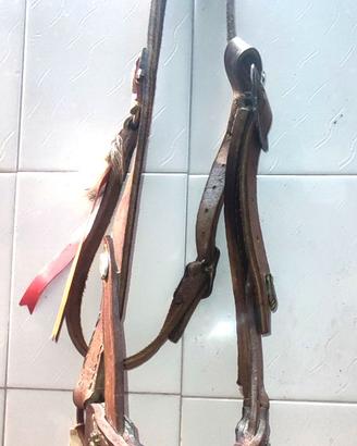 CAVEZZA BRIGLIA MULO