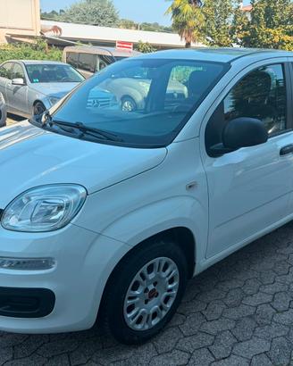 Fiat Panda 1.2 Lounge*EURO6*NEOPATENTATI