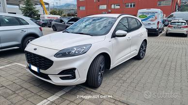 KUGA STLINE X 190CV - AWD