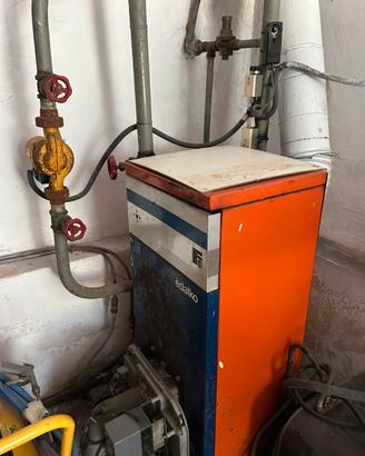 caldaia a gasolio e termosifoni in ghisa.