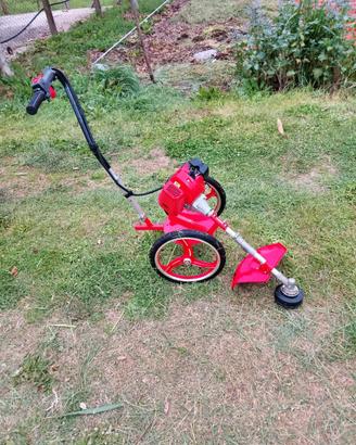 Decespugliatore a motore