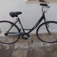 bicicletta