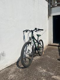 Bicicletta
