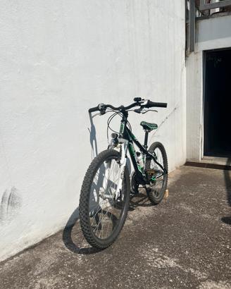 Bicicletta