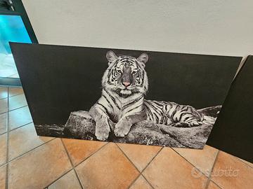 Quadri Tigre Bianca e Leone – Grandi dimensioni