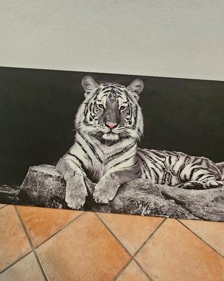 Quadri Tigre Bianca e Leone – Grandi dimensioni