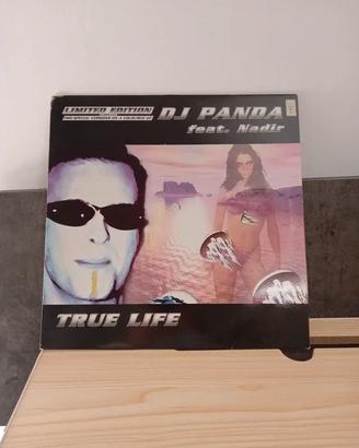 DJ Panda feat Nadir - True Life