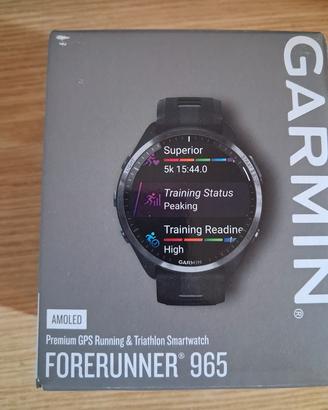 Garmin 965 