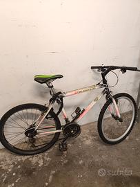 Bicicletta con marce città - terreno 