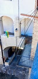 Canne da pesca 