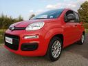 fiat-panda-1-2-easy-idonea-neopatentati