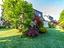 Immagine 18