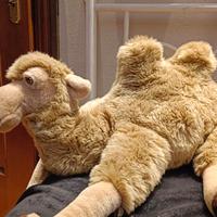 Peluche gigante TRUDI