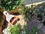 Immagine 7