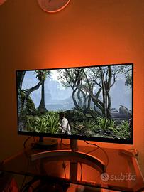 LG Monitor 24”