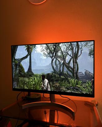 LG Monitor 24”