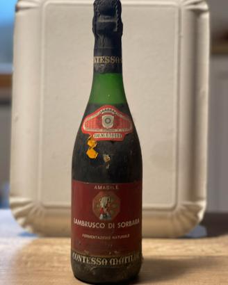 Vino Lambrusco di Sorbara