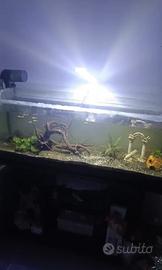 Acquario completo
