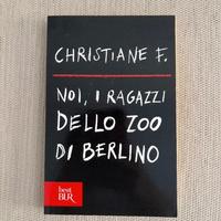 noi ragazzi dello zoo di Berlino - Christiane f