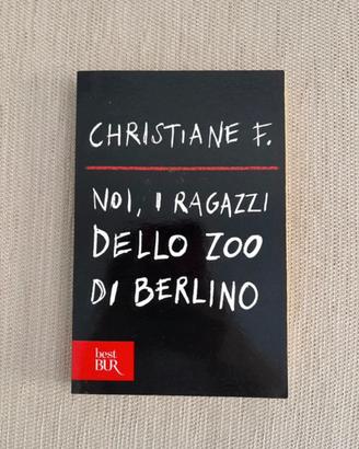 noi ragazzi dello zoo di Berlino - Christiane f