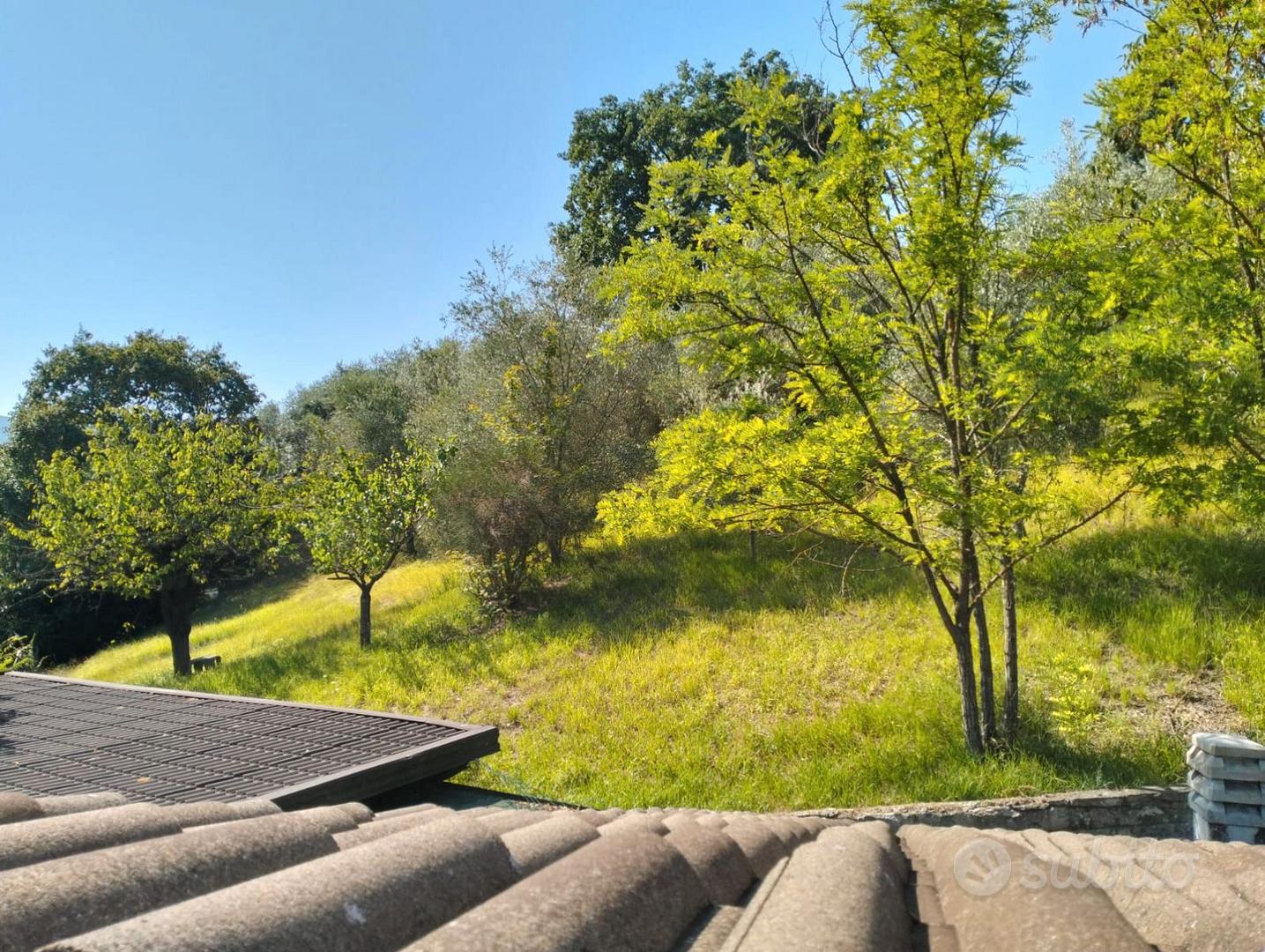 Casa – Terni, Colle dell'Oro - Altro