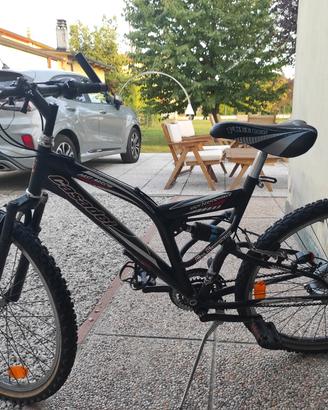Mountain bike 